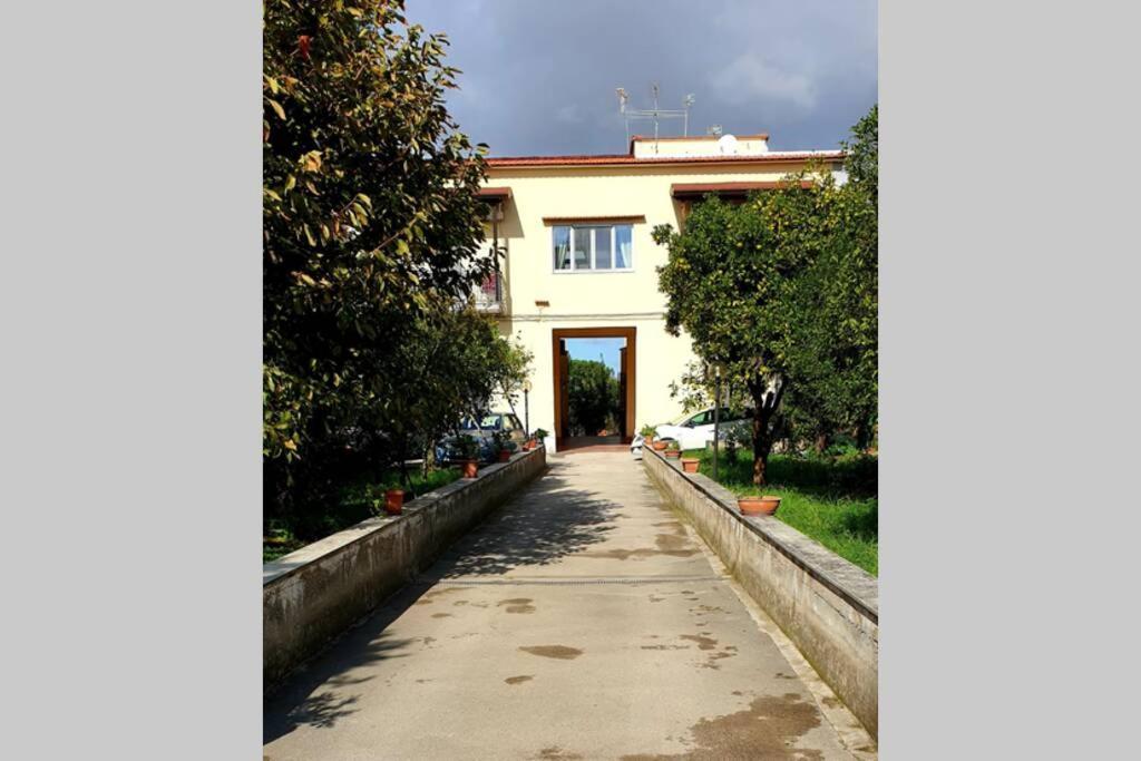 Appartamento In Villa Alle Falde Del Vesuvio Neapel Exteriör bild